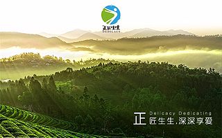 正匠生生食品项目完成融资上线