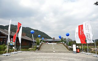 紫牛基金张泉灵告诉你文创项目的投资逻辑