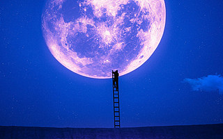 [问诊创业]用4年时间做好一个小众化的内容平台，你成功的几率会有多大？