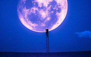 【问诊创业】用4年时间做好一个小众化的内容平台，你成功的几率会有多大？