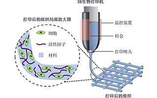 海外9家生物3D打印公司带你预览技术趋势