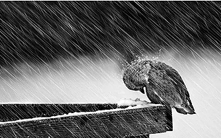 【1122创精选】别再甩锅资本寒冬,资本说了这锅人家不背!