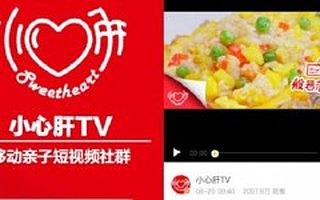 移动端短视频切入亲子经济 “小心肝”获数百万元天使投资