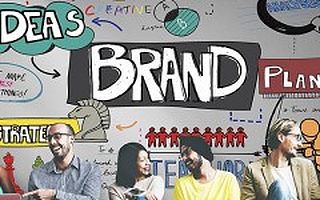 青山资本副总裁李倩:没有更多的传播效应,今天很难成功