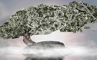 新浪網副總裁鄧慶旭：在資本寒冬中涌現出的三大暖流