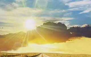 冬日里的香草生活,香草养护介绍