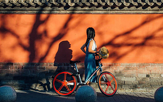 摩拜單車們遇到的問題:如何有效“插樁”以避免巨頭進場收割?