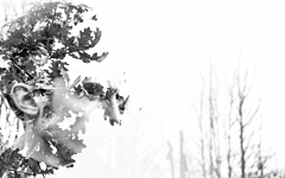 2017年投资人最关心什么?这是一份2017年最新的行业预判