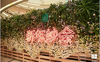 首届消费升级年货节“青山资本新年妙会”在京举行