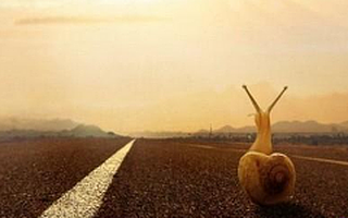 中国为何独独难以做出Snapchat?