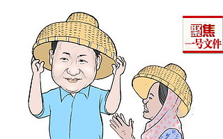 真农网解读:一号文件在向农人传递什么信息?