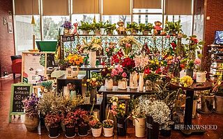 連接都市女白領，打造“無印良品”，鮮花的大生意經