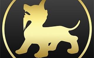 创建食安城，“卫权大师”成生力军