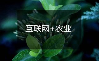 多个互联网+农业项目亮相彭州,持续盈利能力受投资青睐
