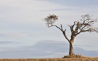 创头条企业服务观察(二)市场大、消费人口多、资本青睐 它或者是最有希望孕育出“下一只独角兽”的行业