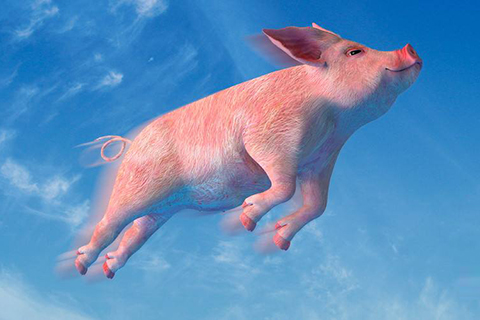 专家:小学生不要总是提博士才做的事情,提防区块链被"吹"过头