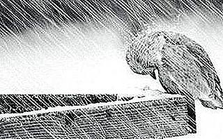 [0323创精选]人事动荡与用户吐槽，哪个堪比今天突如其来的“倒春寒”？