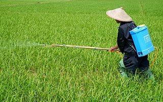 半年營收5億,濟南農藥企業IPO未果掛牌新三板