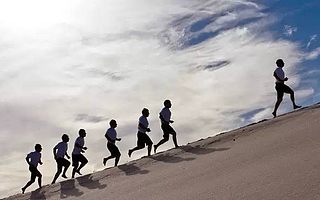 年增长超25倍!成都互联网老司机创立骆驼码,叶茂中曾战略投资