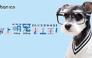 优办独家丨探访小米、豆瓣、蚂蜂窝等10家互联网公司，他们说带萌宠去上班后，整个公司的人都变了！