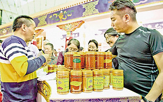 拉萨市设立小微企业商标品牌扶持专项资金