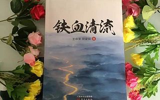 励志女作家胡夏娟又一力作《铁血清流》出版