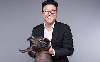 直播行業(yè)有多熱? “吃播”是下個風口? 丁磊真的直播養(yǎng)豬了?