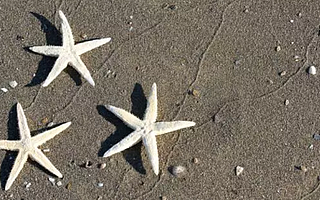 辰海资本8亿新基金起航 三位理工男如何做文娱投资?