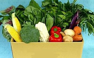 “食恪生鲜”破解生鲜宅配模式难题