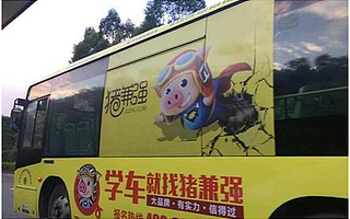 猪兼强学车受多家媒体褒奖持续创新重视服务体验 