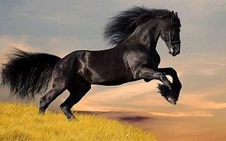 創業找高管需要注意的4點:核心崗位,要兩個蘿卜一個坑!