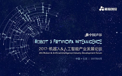 2017机器人&人工智能产业发展论坛