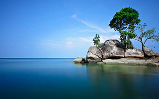 干货丨这几句话,把财富和人性说透了……