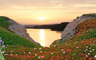 每一种规范都有自己存在的价值和作用