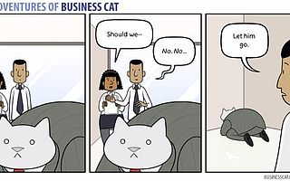 【联合办公室话题有奖征集】如果你的老板是只猫?