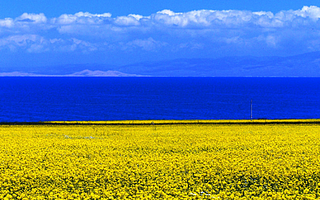 看湖就看青海湖2017青海湖游记杂谈