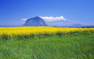 个人权利与道德判决之间的边界 ——评格瑞斯沃德诉康涅狄格州案