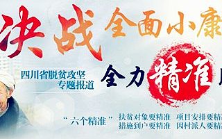 以“繡花”功夫精準推進健康扶貧“五大行動”落實抓細