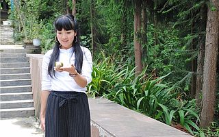 王霞:用心打造一座和谐秀美的生态山庄