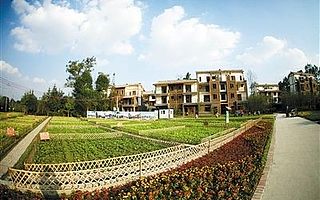 农村产权制度改革的“温江经验”