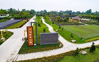 成都温江:寸土变寸金 活权变活钱