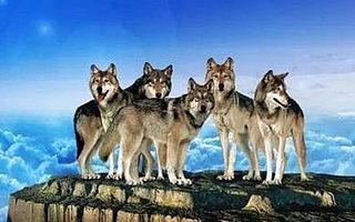 为什么说创业失败百分百是因为“人”不行,其他理由都是借口?