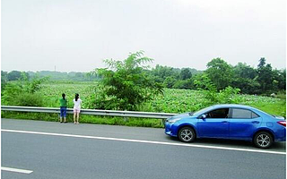 7月1日起,高速公路上这三种行为直接扣12分!