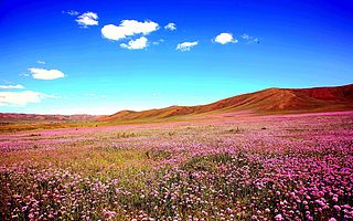 宇航旅游:这个夏天,你将会因追剧而错过这美好景色!