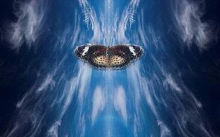 蝴蝶效應、青蛙效應…你的生活被定律戳中了嗎