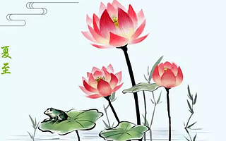 夏至 | 荷气夜来雨，百鸟清昼迟，风满琴语听蝉鸣