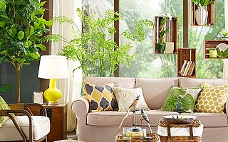 Harbor House室內植物搭配指南