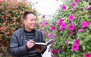 中訪網黃土地頻道上線運營