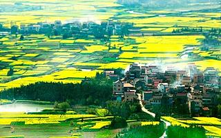 首家房车文化创新创业基地落户南京高淳