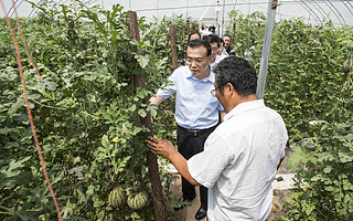 李克强为职业农民双创鼓劲儿